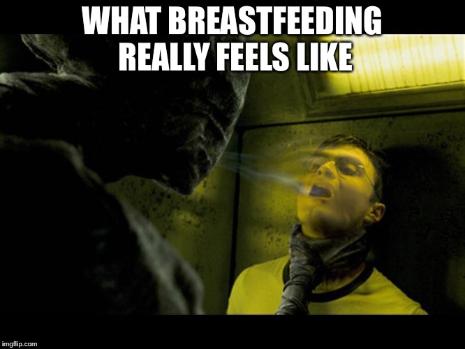 Dementor | WHAT BREASTFEEDING REALLY FEELS LIKE | image tagged in dementor | made w/ Imgflip meme maker