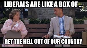 forrest gump box of chocolates | LIBERALS ARE LIKE A BOX OF ... GET THE HELL OUT OF OUR COUNTRY | image tagged in forrest gump box of chocolates | made w/ Imgflip meme maker