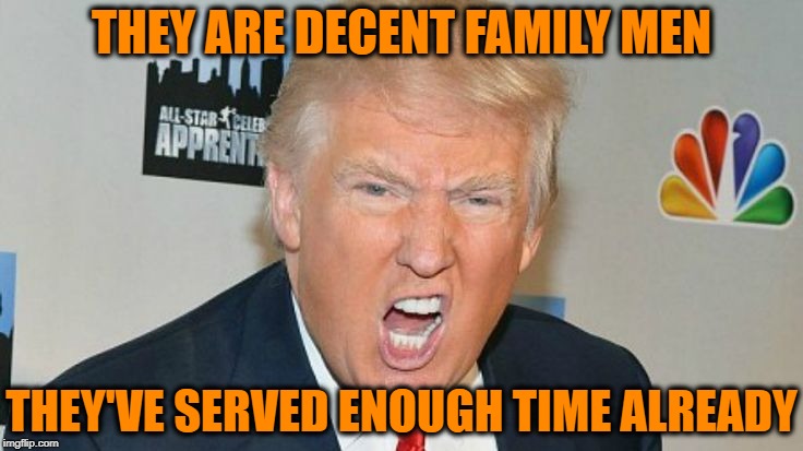 THEY ARE DECENT FAMILY MEN THEY'VE SERVED ENOUGH TIME ALREADY | image tagged in trump mad | made w/ Imgflip meme maker