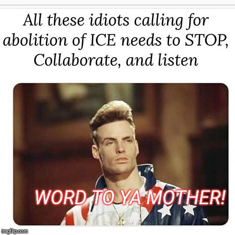WORD TO YA MOTHER! | image tagged in ice ice baby | made w/ Imgflip meme maker