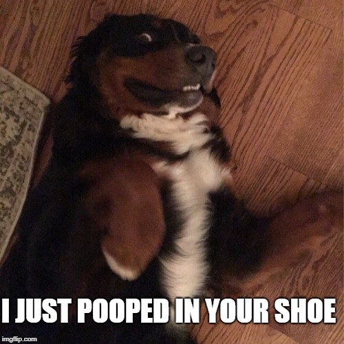 I JUST POOPED IN YOUR SHOE | made w/ Imgflip meme maker