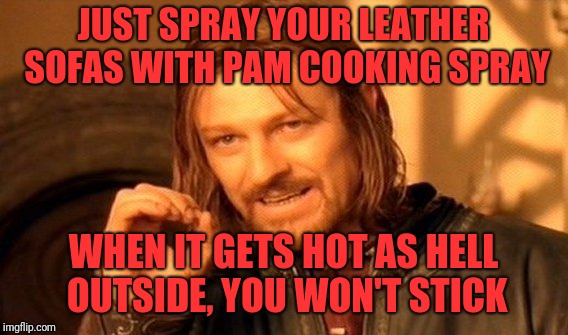One Does Not Simply Meme | JUST SPRAY YOUR LEATHER SOFAS WITH PAM COOKING SPRAY; WHEN IT GETS HOT AS HELL OUTSIDE, YOU WON'T STICK | image tagged in memes,one does not simply | made w/ Imgflip meme maker