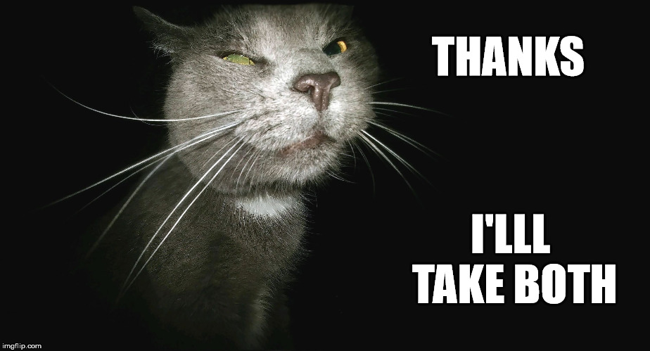 Stalker Cat | THANKS I'LLL TAKE BOTH | image tagged in stalker cat | made w/ Imgflip meme maker