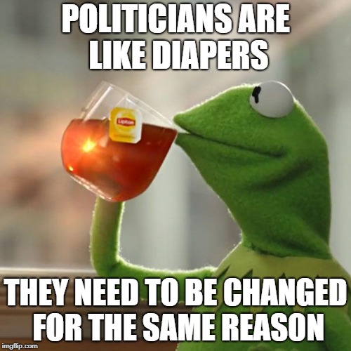 But That's None Of My Business | POLITICIANS ARE LIKE DIAPERS; THEY NEED TO BE CHANGED FOR THE SAME REASON | image tagged in memes,but thats none of my business,kermit the frog | made w/ Imgflip meme maker