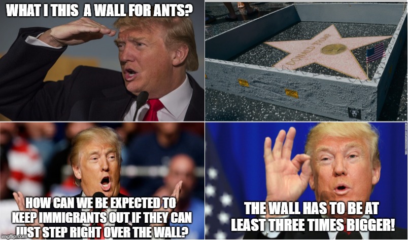 Donald Zoolander | WHAT I THIS  A WALL FOR ANTS? THE WALL HAS TO BE AT LEAST THREE TIMES BIGGER! HOW CAN WE BE EXPECTED TO KEEP IMMIGRANTS OUT IF THEY CAN JUST STEP RIGHT OVER THE WALL? | image tagged in zoolander,donald trump,memes | made w/ Imgflip meme maker