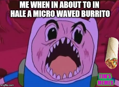 Finn The Human Meme | ME WHEN IN ABOUT TO IN HALE A MICRO WAVED BURRITO; TIM'S MEMES | image tagged in memes,finn the human | made w/ Imgflip meme maker