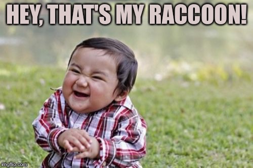 Evil Toddler Meme | HEY, THAT'S MY RACCOON! | image tagged in memes,evil toddler | made w/ Imgflip meme maker