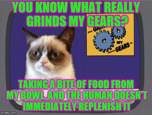 It's like they want her to starve. | YOU KNOW WHAT REALLY GRINDS MY GEARS? TAKING A BITE OF FOOD FROM MY BOWL, AND THE HUMAN DOESN'T IMMEDIATELY REPLENISH IT | image tagged in grumpy cat grinds my gears,memes,food | made w/ Imgflip meme maker