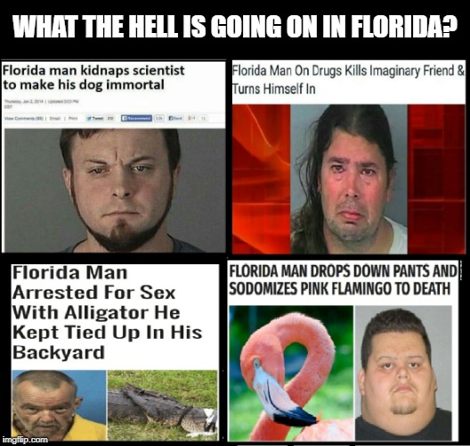 ... | WHAT THE HELL IS GOING ON IN FLORIDA? | image tagged in memes,florida,crazy | made w/ Imgflip meme maker