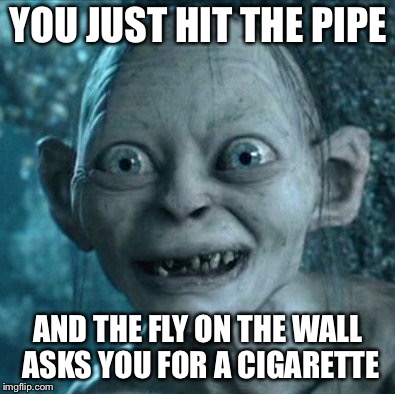 Gollum | YOU JUST HIT THE PIPE; AND THE FLY ON THE WALL ASKS YOU FOR A CIGARETTE | image tagged in memes,gollum | made w/ Imgflip meme maker