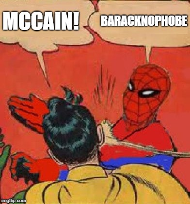 Spiderman Slapping Robin | BARACKNOPHOBE; MCCAIN! | image tagged in spiderman slapping robin | made w/ Imgflip meme maker