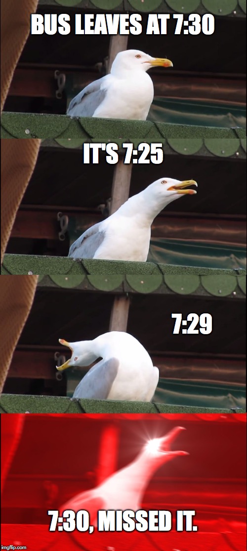 What it feels like in the morning | BUS LEAVES AT 7:30 IT'S 7:25 7:29 7:30, MISSED IT. | image tagged in memes,inhaling seagull | made w/ Imgflip meme maker