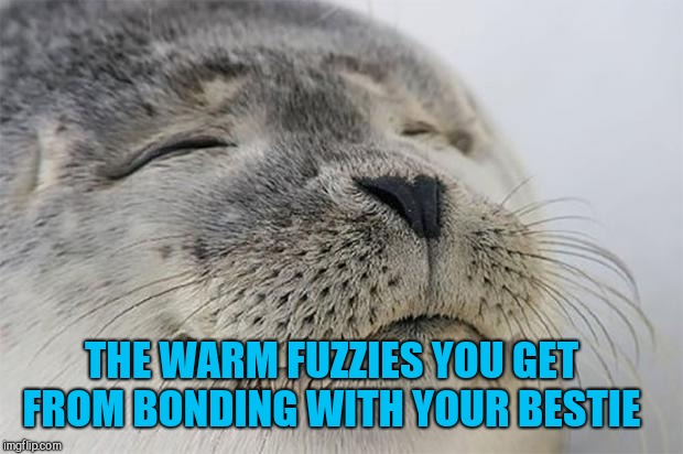Having someone who totally gets you and understands what you're going through is truly a blessing :-)  | THE WARM FUZZIES YOU GET FROM BONDING WITH YOUR BESTIE | image tagged in memes,satisfied seal,jbmemegeek,bffs,best friends | made w/ Imgflip meme maker