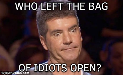 Idiocy  | WHO LEFT THE BAG; OF IDIOTS OPEN? | image tagged in simon cowell | made w/ Imgflip meme maker
