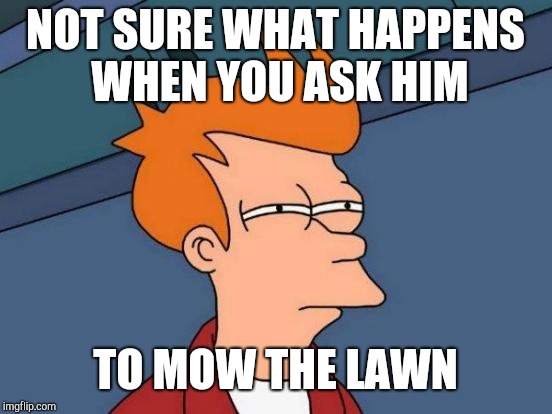 Futurama Fry Meme | NOT SURE WHAT HAPPENS WHEN YOU ASK HIM TO MOW THE LAWN | image tagged in memes,futurama fry | made w/ Imgflip meme maker