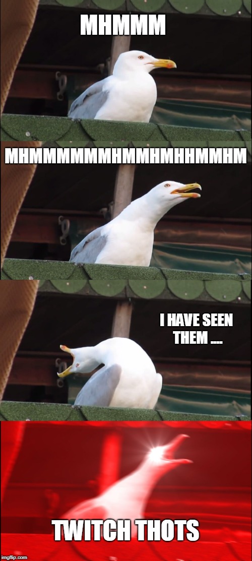 Inhaling Seagull Meme | MHMMM; MHMMMMMMHMMHMHHMMHM; I HAVE SEEN THEM .... TWITCH THOTS | image tagged in memes,inhaling seagull | made w/ Imgflip meme maker