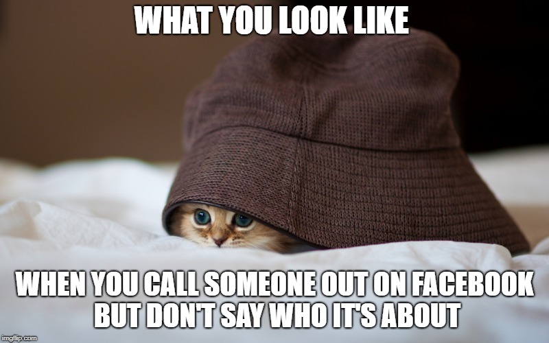 Social Media Call Out | WHAT YOU LOOK LIKE; WHEN YOU CALL SOMEONE OUT ON FACEBOOK BUT DON'T SAY WHO IT'S ABOUT | image tagged in hiding cat,social media,facebook,drama,funny,humor | made w/ Imgflip meme maker