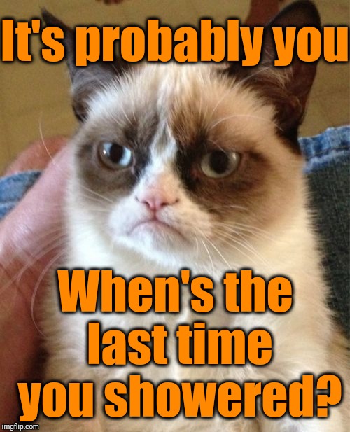 Grumpy Cat Meme | It's probably you When's the last time you showered? | image tagged in memes,grumpy cat | made w/ Imgflip meme maker