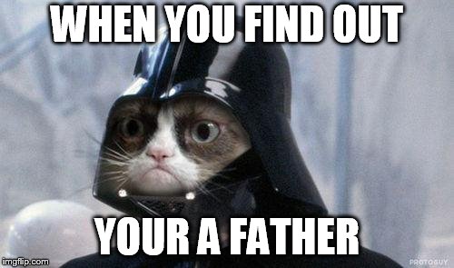 Grumpy Cat Star Wars Meme | WHEN YOU FIND OUT; YOUR A FATHER | image tagged in memes,grumpy cat star wars,grumpy cat | made w/ Imgflip meme maker