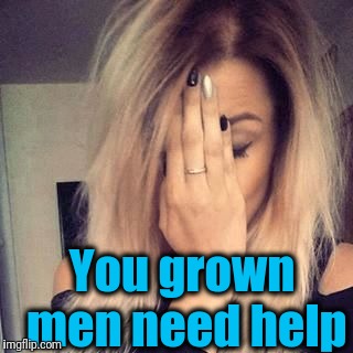 You grown men need help | image tagged in face palm | made w/ Imgflip meme maker