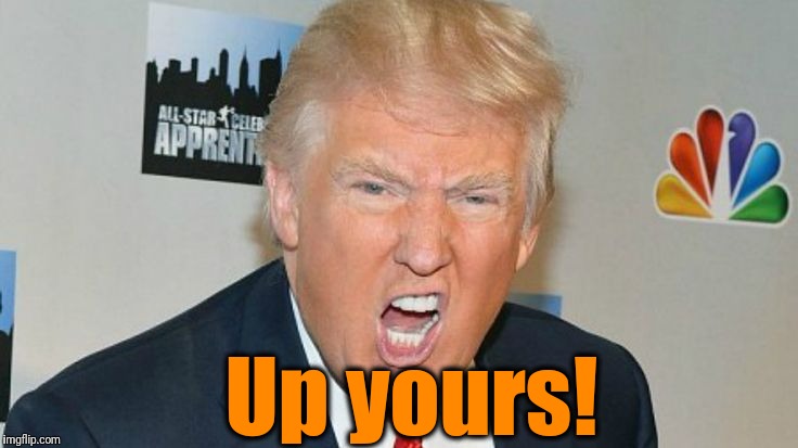Up yours! | image tagged in trump mad | made w/ Imgflip meme maker