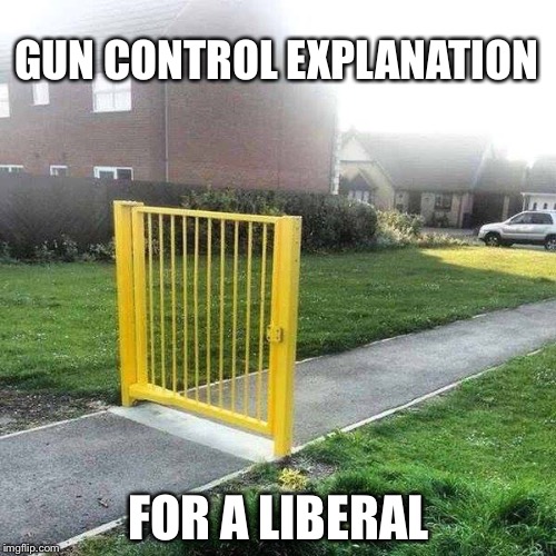 Gun control for liberals | GUN CONTROL EXPLANATION; FOR A LIBERAL | image tagged in liberal security,democrats,gun control,sjws,sjw,funny memes | made w/ Imgflip meme maker