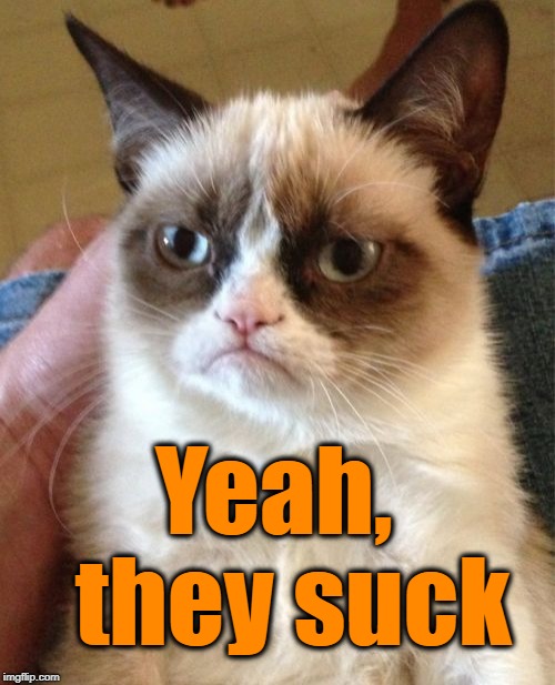 Grumpy Cat Meme | Yeah,  they suck | image tagged in memes,grumpy cat | made w/ Imgflip meme maker