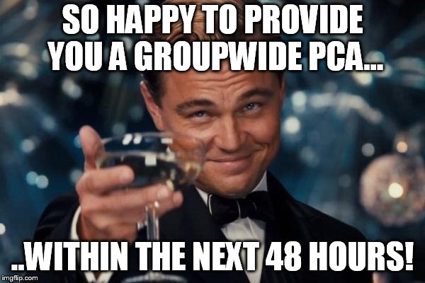 Leonardo Dicaprio Cheers Meme | SO HAPPY TO PROVIDE YOU A GROUPWIDE PCA... ..WITHIN THE NEXT 48 HOURS! | image tagged in memes,leonardo dicaprio cheers | made w/ Imgflip meme maker