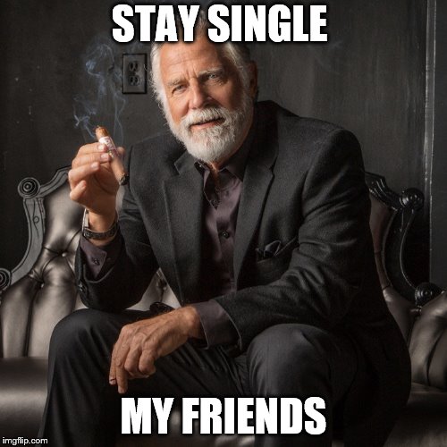 My interesting man in the world | STAY SINGLE; MY FRIENDS | image tagged in dos equis | made w/ Imgflip meme maker