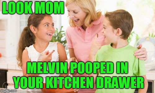 Frustrating Mom Meme | LOOK MOM MELVIN POOPED IN YOUR KITCHEN DRAWER | image tagged in memes,frustrating mom | made w/ Imgflip meme maker