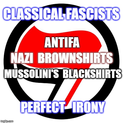 Antifa:  Fascist thugs | CLASSICAL FASCISTS; ANTIFA; NAZI  BROWNSHIRTS; MUSSOLINI'S  BLACKSHIRTS; PERFECT   IRONY | image tagged in progressive,fascist,fascism,nazi,brownshirts,liberal | made w/ Imgflip meme maker