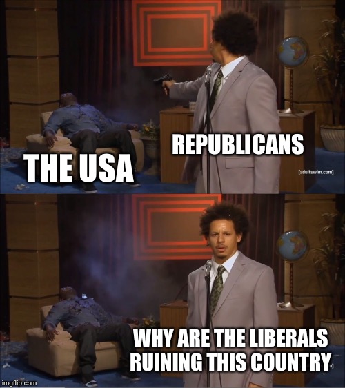 Who Killed Hannibal Meme | REPUBLICANS; THE USA; WHY ARE THE LIBERALS RUINING THIS COUNTRY | image tagged in memes,who killed hannibal | made w/ Imgflip meme maker