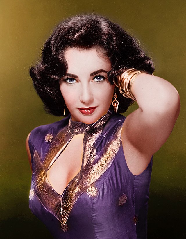 High Quality Elizabeth Taylor Blank Meme Template