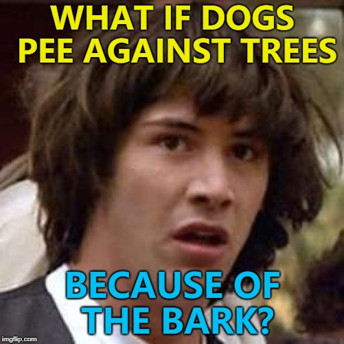 Maybe I've cracked it... :) | WHAT IF DOGS PEE AGAINST TREES; BECAUSE OF THE BARK? | image tagged in memes,conspiracy keanu,dogs,animals,trees | made w/ Imgflip meme maker