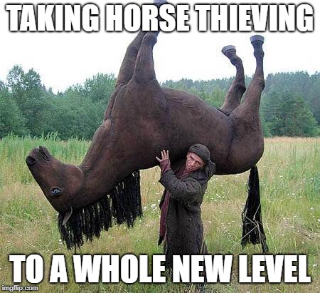 Level 100 Horse Thief | TAKING HORSE THIEVING; TO A WHOLE NEW LEVEL | image tagged in horses,thieves,level expert,dank | made w/ Imgflip meme maker