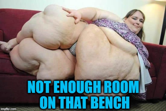 fat woman | NOT ENOUGH ROOM ON THAT BENCH | image tagged in fat woman | made w/ Imgflip meme maker