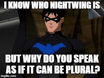 I KNOW WHO NIGHTWING IS BUT WHY DO YOU SPEAK AS IF IT CAN BE PLURAL? | made w/ Imgflip meme maker