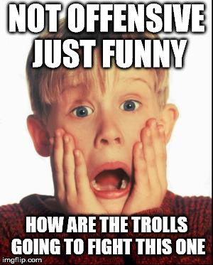 Home Alone Kid  | NOT OFFENSIVE JUST FUNNY HOW ARE THE TROLLS GOING TO FIGHT THIS ONE | image tagged in home alone kid | made w/ Imgflip meme maker