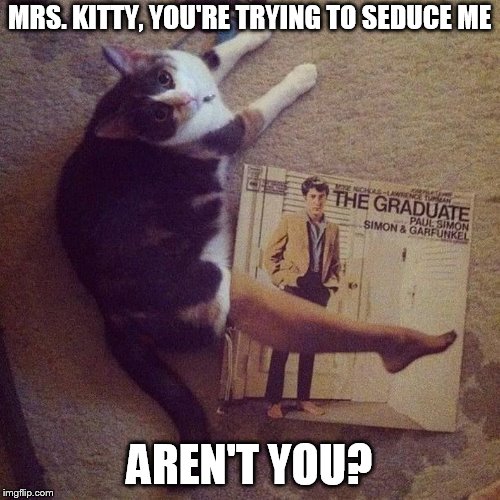 MRS. KITTY, YOU'RE TRYING TO SEDUCE ME AREN'T YOU? | made w/ Imgflip meme maker