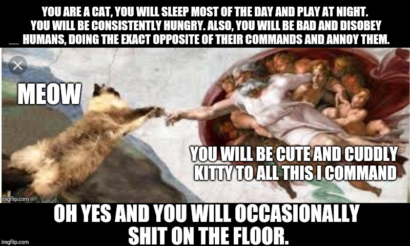 God Creating Cats | MEOW; YOU WILL BE CUTE AND CUDDLY KITTY TO ALL THIS I COMMAND | image tagged in god,creationism,cats,lmao | made w/ Imgflip meme maker