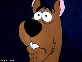 Scooby Doo Surprised | . | image tagged in scooby doo surprised | made w/ Imgflip meme maker