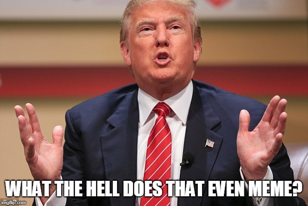 Donald trump | WHAT THE HELL DOES THAT EVEN MEME? | image tagged in trump,donald trump,mean,meme,donald | made w/ Imgflip meme maker