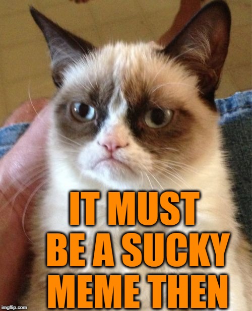 Grumpy Cat Meme | IT MUST BE A SUCKY MEME THEN | image tagged in memes,grumpy cat | made w/ Imgflip meme maker