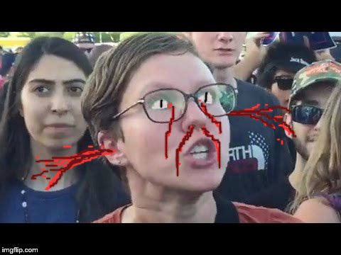 Angry sjw | image tagged in angry sjw | made w/ Imgflip meme maker