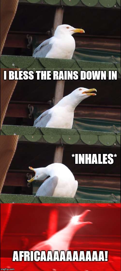 Inhaling Seagull | I BLESS THE RAINS DOWN IN; *INHALES*; AFRICAAAAAAAAAA! | image tagged in memes,inhaling seagull | made w/ Imgflip meme maker