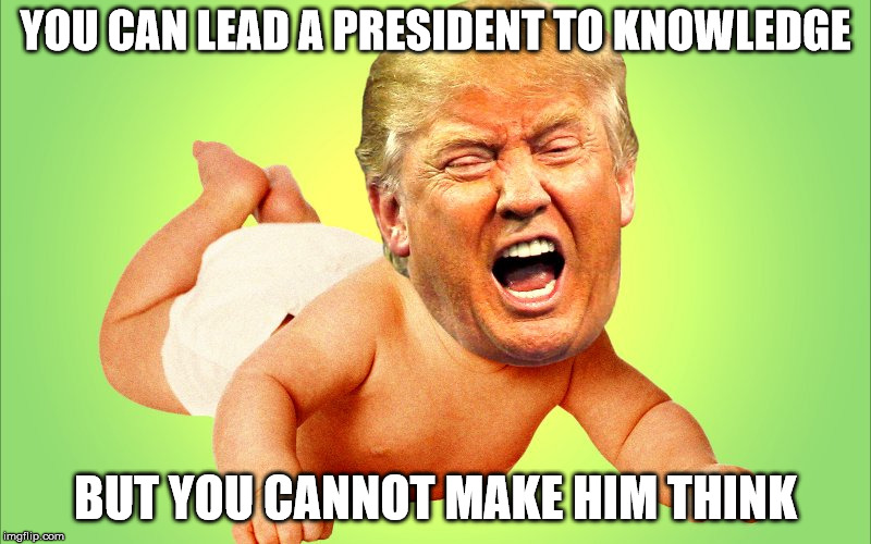 Cry baby Trump | YOU CAN LEAD A PRESIDENT TO KNOWLEDGE; BUT YOU CANNOT MAKE HIM THINK | image tagged in cry baby trump | made w/ Imgflip meme maker