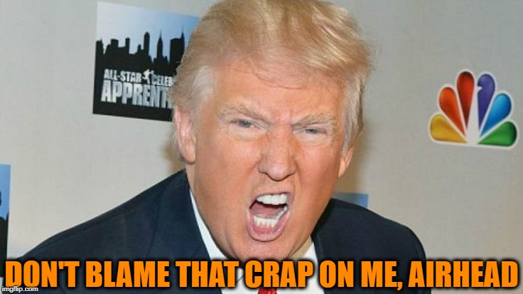 DON'T BLAME THAT CRAP ON ME, AIRHEAD | image tagged in trump mad | made w/ Imgflip meme maker