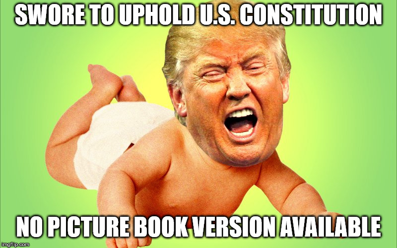 Cry baby Trump | SWORE TO UPHOLD U.S. CONSTITUTION; NO PICTURE BOOK VERSION AVAILABLE | image tagged in cry baby trump | made w/ Imgflip meme maker