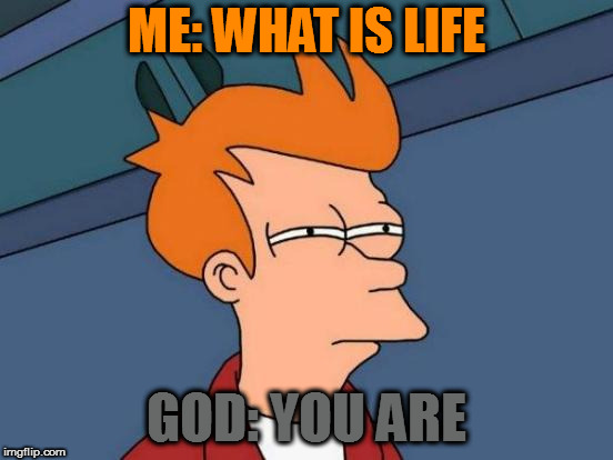 Futurama Fry Meme | ME: WHAT IS LIFE; GOD: YOU ARE | image tagged in memes,futurama fry | made w/ Imgflip meme maker