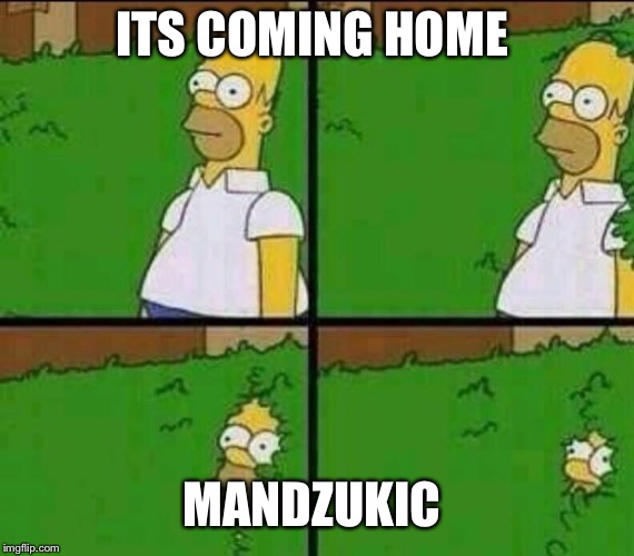 Homer Simpson in Bush - Large | ITS COMING HOME; MANDZUKIC | image tagged in homer simpson in bush - large | made w/ Imgflip meme maker